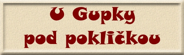 U Gupky pod poklikou